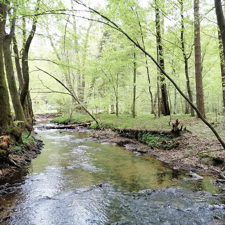 Oda ve Kahvaltı Holma *** 3*