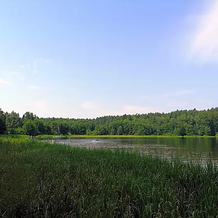 Holma *** Zbychowo