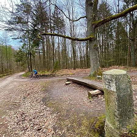 Panzió Holma ***