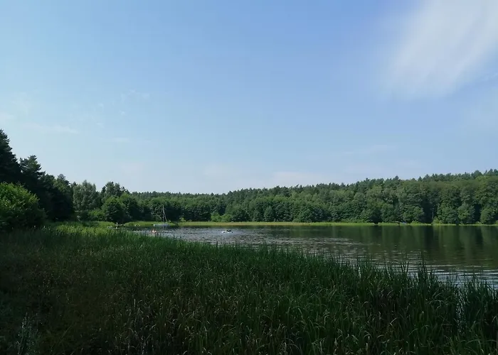 Holma *** 3* Zbychowo