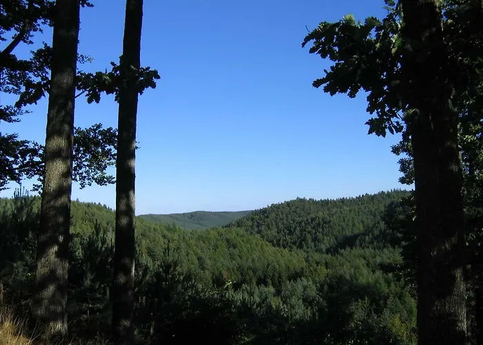 Bed & Breakfast Holma *** 3*